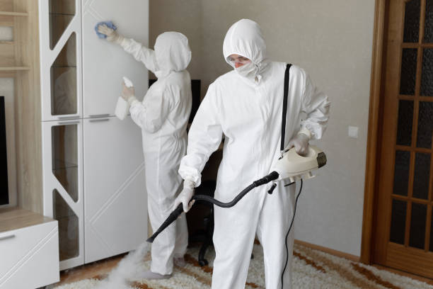 24/7 Emergency Odor Removal experts in Pullman, MI